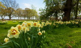 Burton Constable Hall IMG_4943.jpg