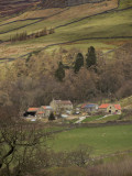 Farndale -3104.jpg