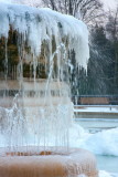 IMG_5828.jpg