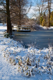 Thwaite Hall Snow IMG_8985.jpg