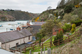 Fishguard Wales IMG_0266.jpg