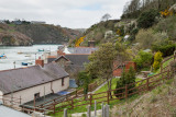 Fishguard Wales  IMG_0266.jpg