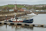 Whitehaven IMG_0918.jpg