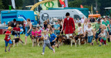 Driffield Show 2016 IMG_2952.jpg
