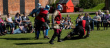 Knights in Battle IMG_1414.jpg