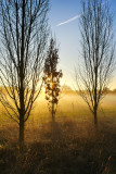 Barmston Drain IMG_2622.jpg