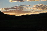 Montana Sky