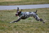 Truman