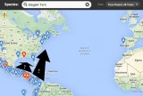 ELTE eBird.jpg