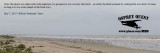 _M5A6062 Common-Black Tern migrating flock.jpg