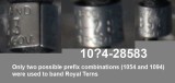 Royal Tern - band 1054-28583 or 1094-28583 - Texas