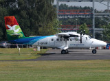 DHC6  C-GFAP  