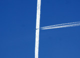 TRAILS