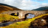 Into the 3rd Millennium - Cairngorms National Park - Scotland