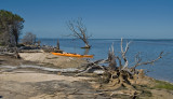 Peel Estuary - a paddlers paradise!