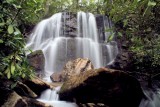 Another shot of the Falls on Reid Branch Falls about 20 Ft