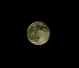 Pictures of what is call the Super Moon as it Rises-D