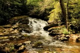 Fox Creek Falls, 9/7/14 just off the RD 603. VA.