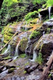 Diffent View Of Catawba Falls(7/4/15)Last Hike I went on be for Surgery 