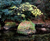 Fall Colors At Stone Mountain State Park(10/22/15)