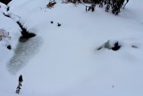 The Gold Fish Pond, Got About 4ins of Snow So Far