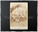 0033 Vintage Photo.jpg