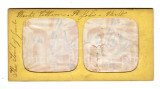 04 French Tissue Stereoviews.jpg