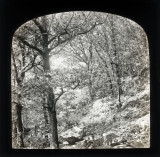 02 Landscape Magic Lantern Slide.jpg