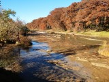 Wimberley - Thanksgiving 2014 141.JPG