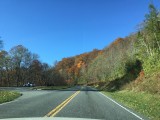 IMG_6229.JPG