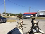Amish Tour in Ethridge, TN