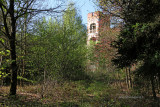 The Chateau and its overgrown grounds