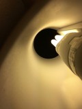 illuminating