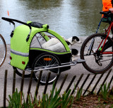 Canine carriage for pampered pooches