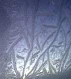 Iced over