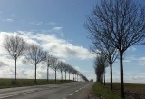 Halfway to Hesdin