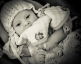 Babies are such a nice way to start people. ~ Don Herrold