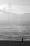 As Manhãs de Neblina Junto ao Tejo