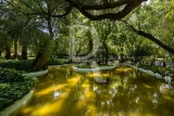 Quinta do Beau-Séjour (MIP)