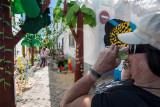 Festa das Flores de Papel