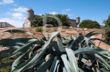 Forte da Cadaveira (IIP)