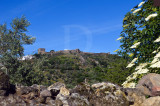 Castelo de Vide