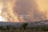 Os Incêndios de 2003