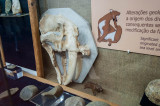 Arqueologia - Paleolítico