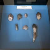 Os Terrveis Lagartos do Museu da Lourinh