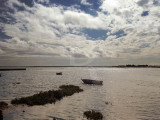 A Ria Formosa Junto a Faro