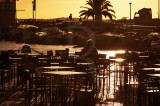 Faro
