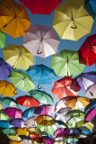 Agitagueda - Os Chapéus-de-Chuva Coloridos