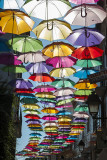Águeda - Os Chapéus-de-Chuva Coloridos