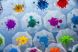Águeda - Os Chapéus-de-Chuva Coloridos